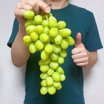 애플 청포도 씨없는 포도 오톰크리스피 3kg 2kg 1kg