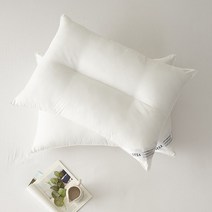 세사 AK수원점 SESA N뉴컴퍼터블 경추베개솜 40X60