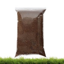 벅스프린스 코코피트 5L 러그 딸기 소라게 바닥재