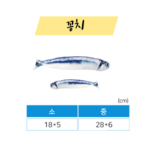 제이제이 물고기인형 생선 장난감 고양이 캣닢 집사 놀이 냐옹이 냥덕, 1개, 꽁치 소