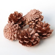 솔방울 트리오너먼트 대 5p, 골드