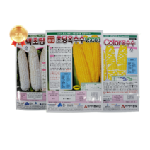 초당옥수수씨앗 2000립 백초당 얼룩초당 대포장 초당옥수수씨 아시아종묘 22년생산, 백초당옥수수2000립