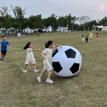 초대형 축구공 에어 볼 공기 전동펌프 포함 축제 장식, 단일 180cm 공+전기공기펌프