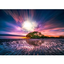 B504-0/일출사진 대형사진 A1 해돋이사진 해뜨는사진 풍경화 인테리어사진 풍경사진 풍경화그림, 유포지(코팅)