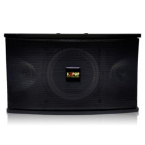 KEPOP 노래방스피커 코인노래방 업소용스피커 KPS-501 대형마트 행사장 10인치 400W 단품, KEPOP KPS-501