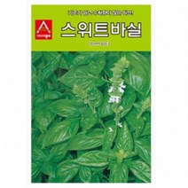 (허브씨앗종자) 스위트 바실(3g)