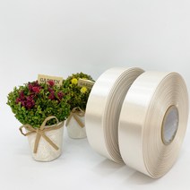 포장 리본 끈 제이제이리본 고밀도주자 45M 2롤 76칼라 (3mm 5mm), 3mm, 상아