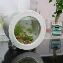 시라쿠야키 일본식 세련된 수조 도자기 원형