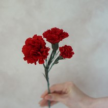 [페이퍼플라워 DIY]주름종이로 카네이션 만들기 키트, 기본키트+포장캐리어+리본, 레드