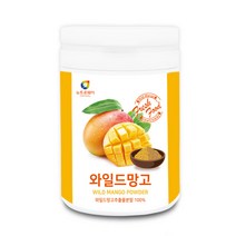 뉴트로웨이 와일드망고분말1통(200g), 200g