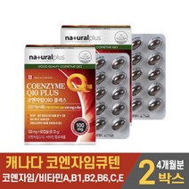 캐나다 코엔자임 Q10 큐텐 플러스 코큐텐 캡슐 7중 복합기능성 영양제 건강기능식품, 2개, 60캡슐