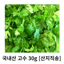 국내산 고수 30g 100g 150g 300g 1kg 3kg 산지직송 고수나물 야채고수 고수야채 고수풀 곳 향채 코리앤더 cilantro 허브 향신료 쌈채소 향채소 향신채소 샹차이