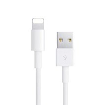 로건 베이직 아이폰 8핀 고속 충전 케이블 충전기 카플레이, 3m(B354)