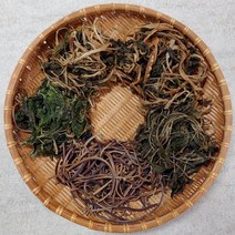지리산 건조 말린 나물 건 고사리 취나물 미역취 장녹 뽕잎 다래순 파프리카잎 쑥부쟁이 아주까리(피마자)잎 100g, 1개, 건뽕잎 100g