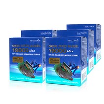 헬스윈 뉴질랜드 초록입홍합오일 19000mg 90캡슐, 5개