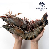 캡틴피쉬 자연산 프리미엄 킹타이거 왕새우, 소(100g~130g)