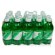 제트스카이 롯데 칠성사이다, 20개, 300ml