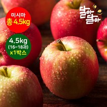 달아달아 못난이사과 미시마 4.5kg(16-18과) 1박스, 단품
