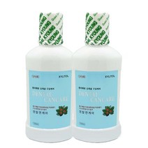 신개념 케어가글 덴탈캔케어 250ml 2개 충치예방 입냄새제거 구강청결제 체크가글