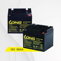 Long 케어라인 배터리 12V 50Ah 2개1세트, 매장방문