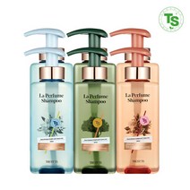 티에스 [티에스] TS 라퍼퓸 샴푸400ml 1개+1개 (샴푸만 800ml), 크러쉬시트러스, 2개, 400ml