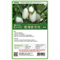 그린비타 풋고추 50립 - 씨 씨앗 오이고추 아삭이고추 고추씨앗 고추씨 채소씨 채소씨앗 오이고추씨앗 아삭이고추씨앗, 16_다농_흰계란 가지(50립)