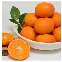 [팜쿡] 제주 고당도 레드향 소과 2.5kg(18-22과)