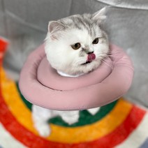 예뻐유 정품 반려동물 페브릭 넥카라, 핑크