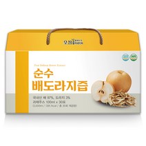 황지네이처 국내산원재료 과채주스 순수배도라지즙 100ml 30개