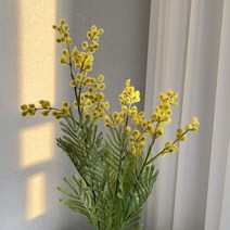 금전운을 부르는 미모사 조화 은엽아카시아 집들이 선물용 고퀄리티 65cm, FREE