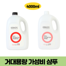 거대용량 케라시스 미용실 고시원 업소용 두피가려움 두피각질 정수리냄새 향기좋은 샴푸, 3. 대용량 바디워시