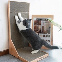 버디캣 고양이 월 수직 스크래쳐 장난감