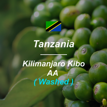[커피생두] 탄자니아 AA Top 킬리만자로 키보 워시드 1kg