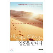 내 길에서 걷고 있는 영혼을 만나다 : 리더의 혼을 찾아 떠나는 여행 힐링리더십, 리 G. 볼먼,테런스 E. 딜 공저/권상술 역, 아이지엠세계경영연구원(IGMbooks)