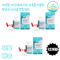 요호 칼슘 마그네슘 아연 비타민 D 복합제 120정 코랄칼슘 산호칼슘 소성칼슘 캐나다직수입 산화마그네슘 2:1배합 여성 청소년 임산부 노인 부모님 선물 CAL Mg Zn 중장년층, 3통