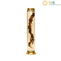 용천자연유리 담금주병 수동 37호 1.8L, 5개
