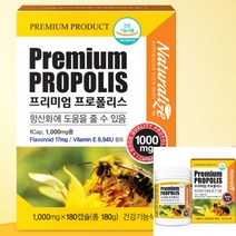 라이즈 프리미엄 프로폴리스 염증보조제 염증에좋은영양제 만성염증영양제