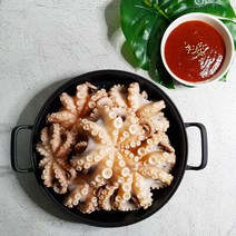 서해에서 갓잡아올린 자연산 활쭈꾸미 3kg, 단품