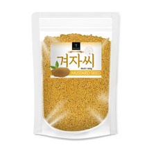 퓨어영 겨자씨 500g 백개자 백겨자 겨자 씨앗, 1봉