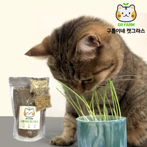구름이네 캣그라스 3종세트 고양이간식 고양이장난감 고양이풀 반려동물 용품, 상세페이지 참조, 상세페이지 참조, 상세페이지 참조