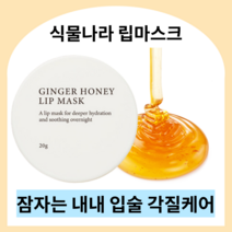 식물나라 진저허니 립마스크 20g 나이트 립케어 고보습 꿀추출물 립밤 입술각질 입술팩 립각질제거 립마스크 진저슈가 슬리핑팩 립팩 립마스크, 1개
