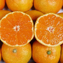 추석선물세트고당도귤 제주하귤 3kg 2kg추석귤, 제주 하우스귤 선물용 5kg 50-79과, 1개