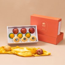 23년 설날 과일 혼합 선물세트 / 나주배 사과 황금향 한라봉 샤인머스켓 레드향, 1box, 배 사과 한라봉 선물세트 3kg 333 1set