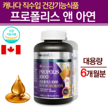플로폴리스 포르폴리스 프로폴리스 추출물 캔디 대용량 아연 항산화 도움 프로폴리스알약 타입 캔디 플라보노이드 17 면연력 면역력 필요