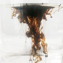 플렌테리어 행잉 소품 가정용 가드닝 EDDHA-FE 식물 미량 영양소 비료 킬레이트 철 FE 6%, 04 1000G