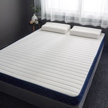 럭셔리 슈퍼 편안한 라텍스 매트리스 통기성 거품 느린 리바운드 다다미 가족 BEDSPREADS 킹 퀸 전체 크기, 120x200cm|White(10cm Thick)