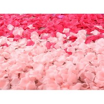 프로포즈 웨딩 선물포장 하트연출 장미꽃잎 웨딩카, 10. 화이트
