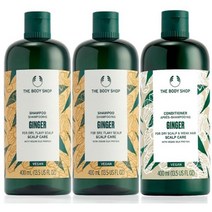 더바디샵 진저 샴푸 대용량 한정 (샴푸2+컨디1)