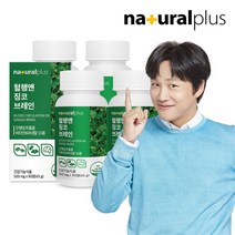 [내츄럴플러스] 혈행앤 징코 브레인 90정 4박스(12개월분) / 기억력 혈행개선 은행잎추, 상세 설명 참조, 상세 설명 참조