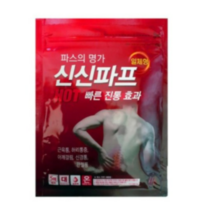 신신제약 신신 파프 핫 파스, 5개입, 100개